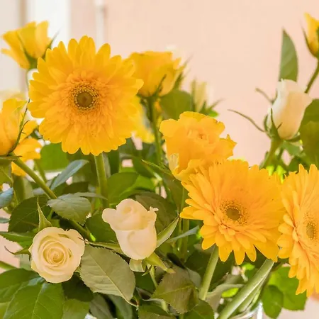 Sauter Lindau Neukirch (Tubingen)